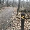 Trail marker for the Alder Trail