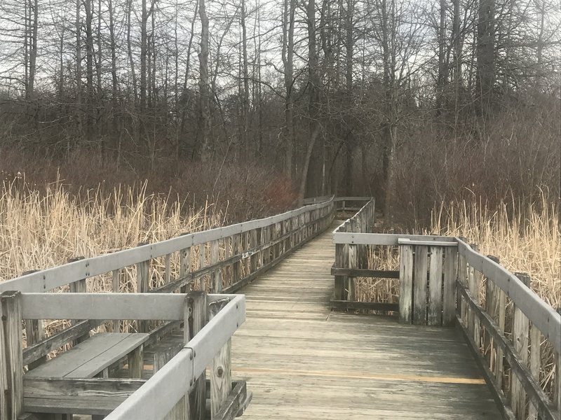 The other end of the walkway through the wetland