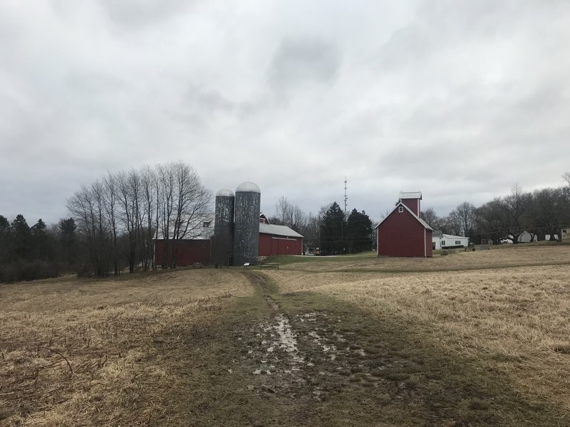 Barn on the far side of a field