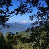 Mount Adams from the Franklin Ridge Trail
