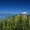 Mount Rainier (L) and Mount Adams (R) from Chinidere Mountain