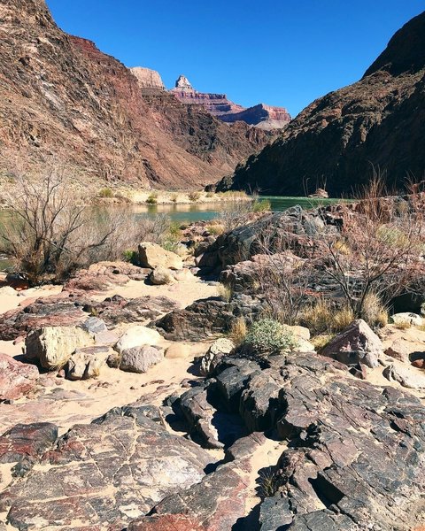 Colorado River from beaches of Pine Creek