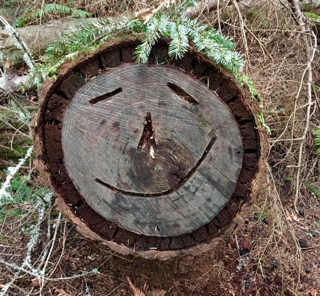 A cheerful log.