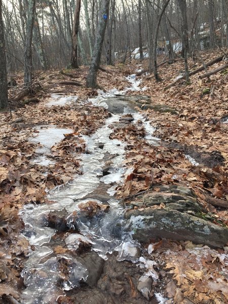 Trail follows a water runoff which is icy in the winter and wet in the spring.
