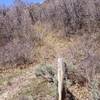 Old Switchback trail post from Coal Creek Basin Trail intersection