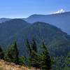 Mount Hood from the Augspurger Trail