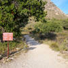 Begin Guadalupe Peak Trail in the morning.