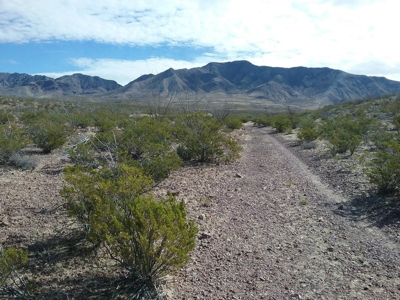Looking east from the trail towards the Franklin Mountains