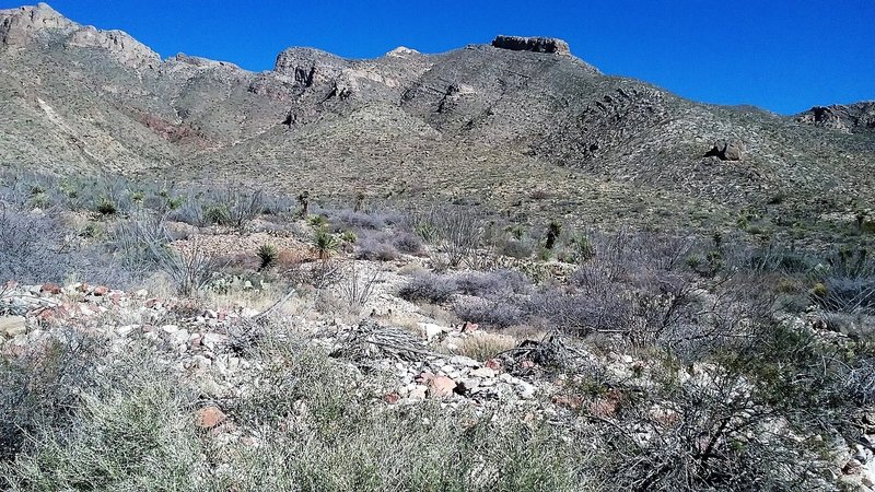 View of the arroyo and the Franklin Mountains