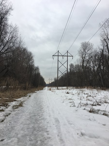 Part of the winter trail that runs along the power lines