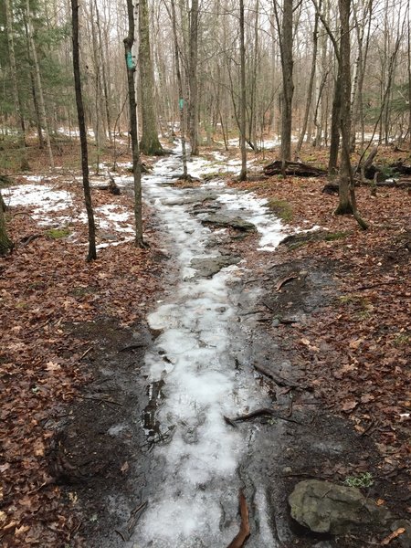Trail can get pretty icy in the winter due to heavy usage after snow storms