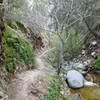 Bear Canyon Trail near Arroyo Seco