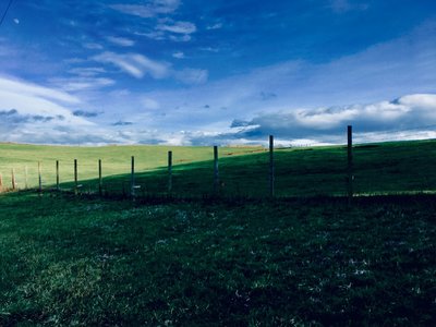 windows xp background 480 by 360