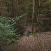 A small bridge that can be seen from the trail.