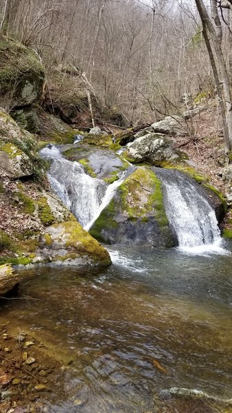 Pocosin Hollow Trail Hiking Trail, Stanardsville, Virginia