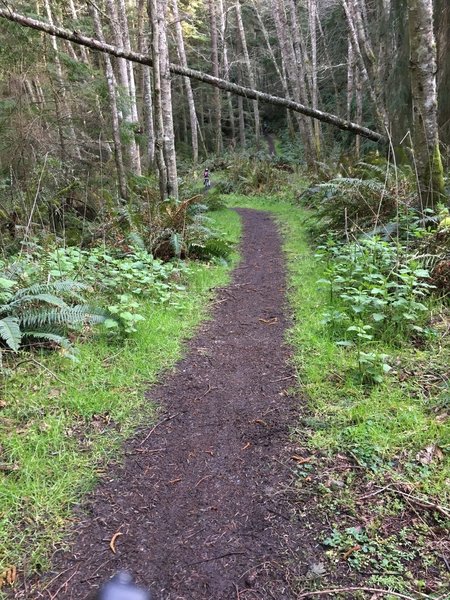 A pretty awesome trail.