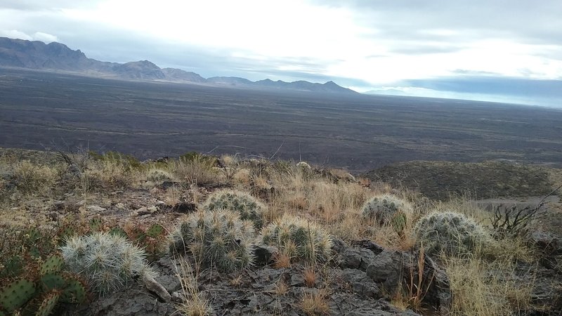 Turtleback Trail Hiking Trail, University Park, New Mexico