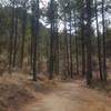 Beginning of Trail #33