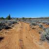 Along the old ranch road across the plateau