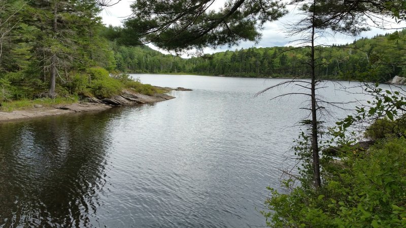 Little Rock Pond Loop #416 Hiking Trail, Rutland, Vermont