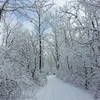Hollows Conservation Area in the winter - Photo courtesy of McHenry County Conservation District