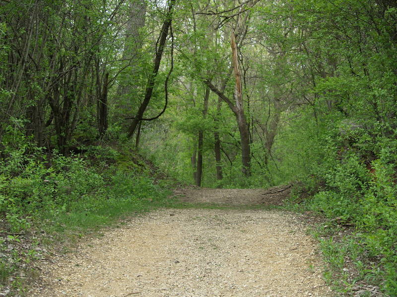 Hollows Conservation Area - Photo courtesy of McHenry County Conservation District