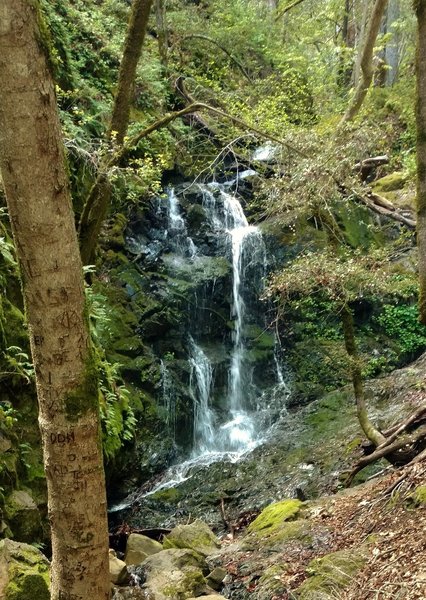 Black Rock Falls is found on a side spur of Waterfall Loop Trail.