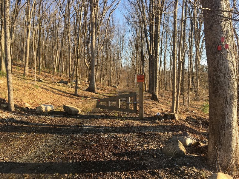 The start of the Ford Trail from the Old Beach Glen Road parking area