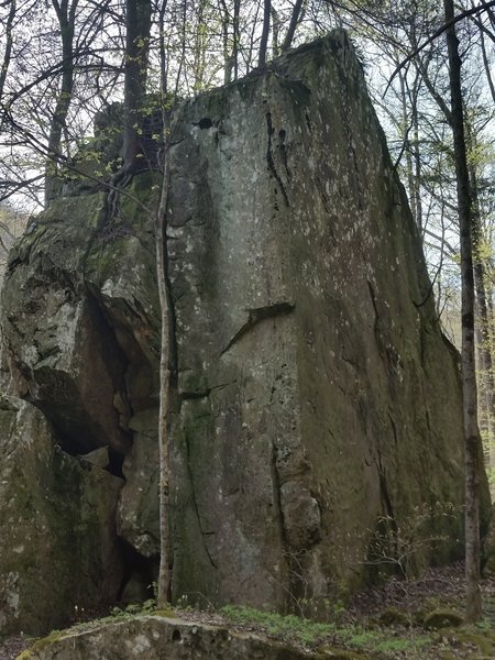 It amazes me how nature finds a way to thrive. Check out the trees growing out of this huge rock.