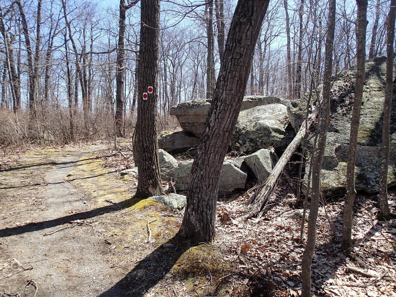 Iris Trail Hiking Trail, Sussex, New Jersey