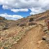 North Table Loop and Cottonwood Canyon Trails split