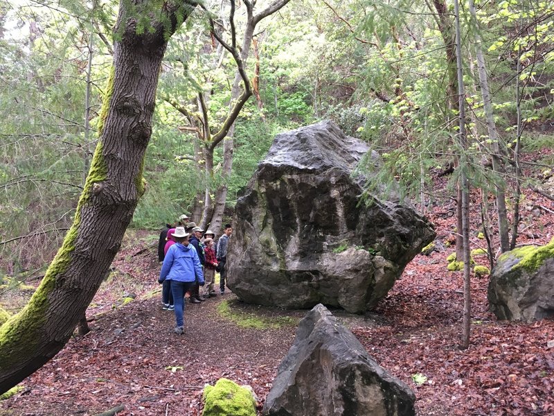 A large boulder on the trail.