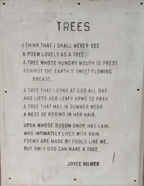 Joyce Kilmer's Trees Poem
