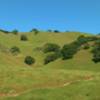 The green, oak studded grass hills of Coyote Lake - Harvey Bear Ranch County Park in early May, with Gaviota Trail winding through them.