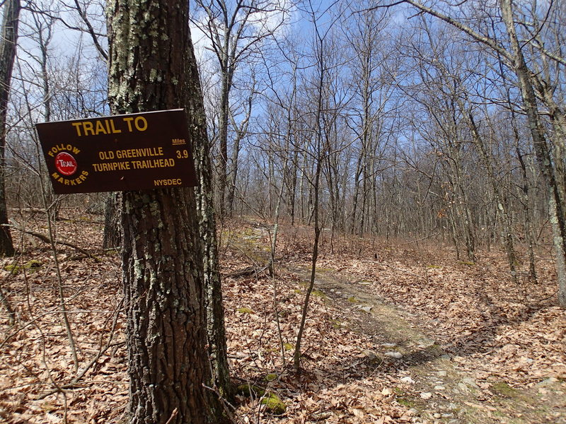Start of Lenape Ridge Trail