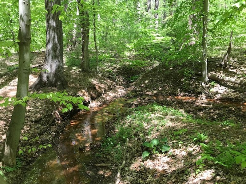 A small creek