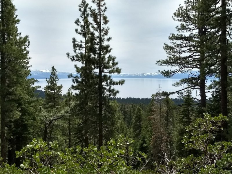 Much of the trail has views of Lake Tahoe (but only through the trees)