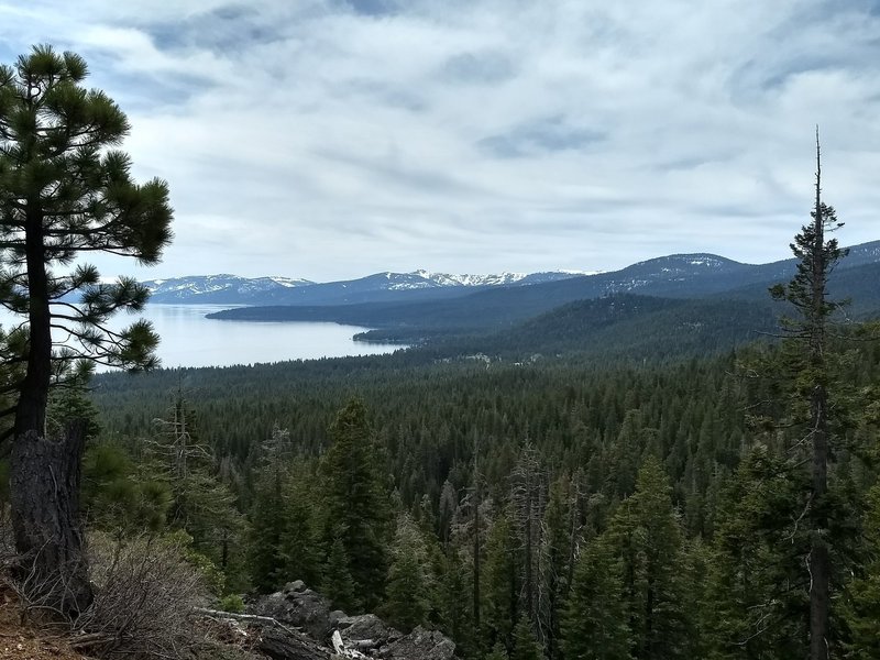 Around 2.5 mile mark, you can get a great view of Lake Tahoe if you walk off the trail a bit