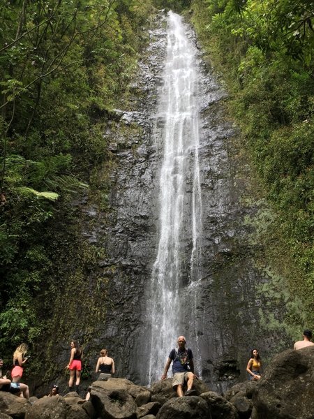 Manoa Falls Trail Hiking Trail, Maunawili, Hawaii