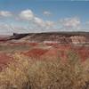 View of the Painted Desert