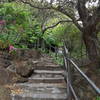 Stairs up to the Beach House, gardens, and man-made waterfall