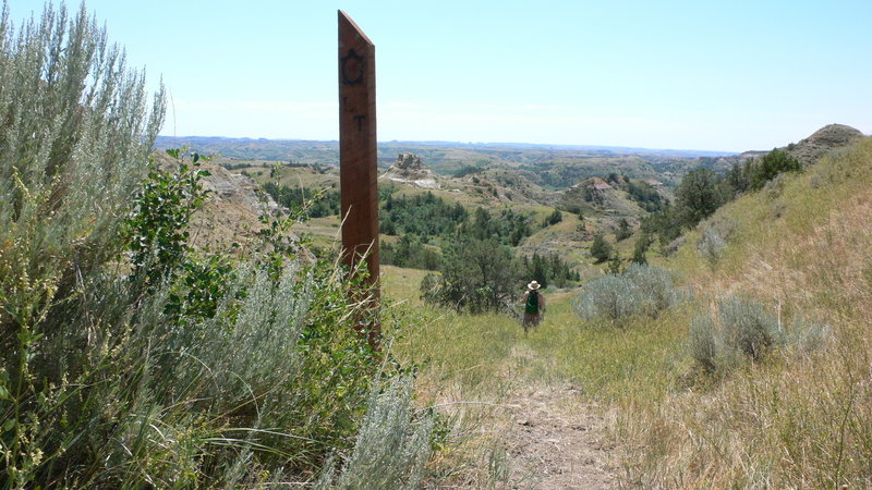 Near the start of the Lone Tree Loop Trail