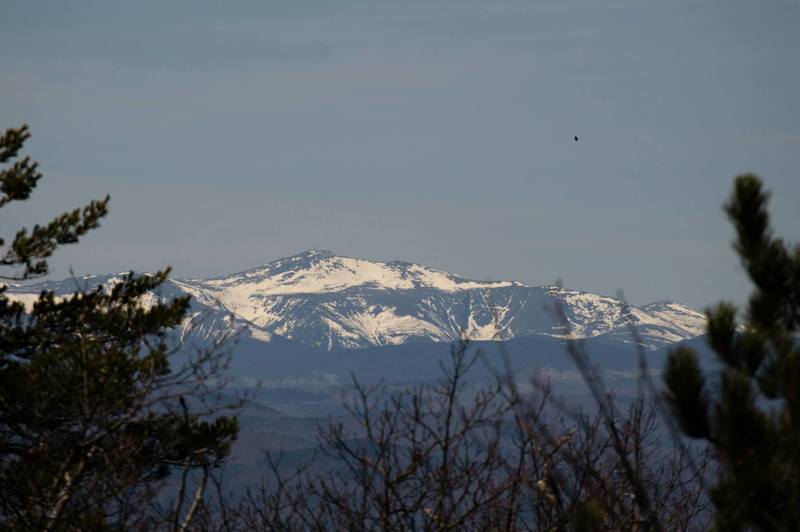 Mount Washington from Pleasant Mountain
