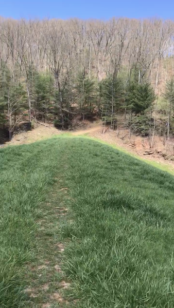 Grassy section of trail on top of the dam