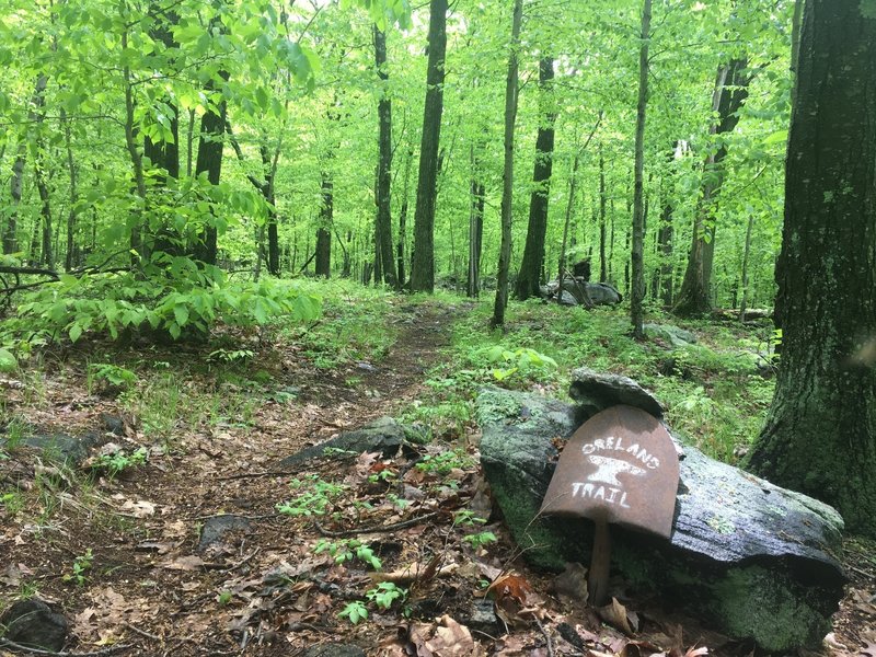 Trail with shovel marker