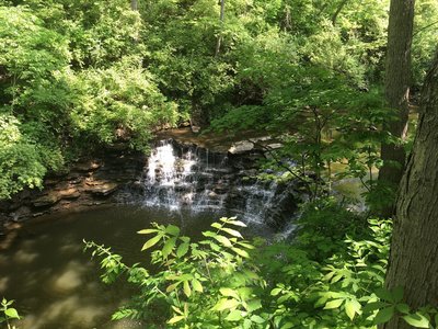 Sharon Woods Hiking Trails Running Trails Near Sharon Woods Park