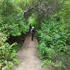 Zen moment crossing the creek