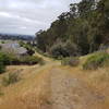 Connector trail between Don Castro and Five Canyons