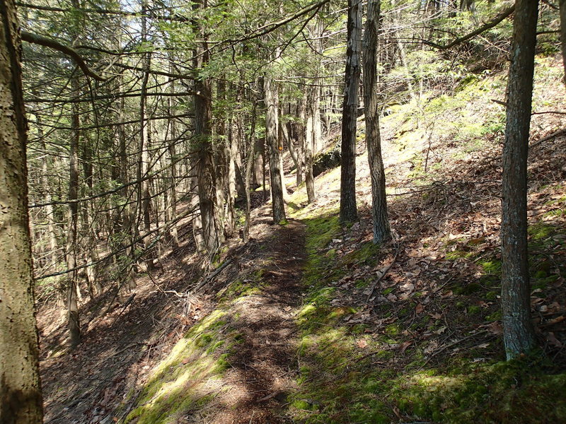 Minisink Trail