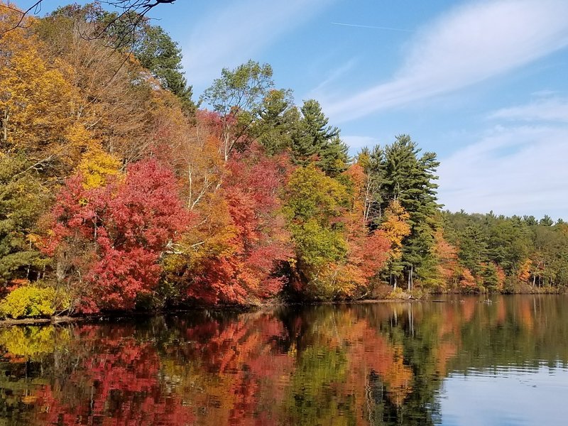 Whitehall State Park Loop Trail Running Trail, Upton, Massachusetts